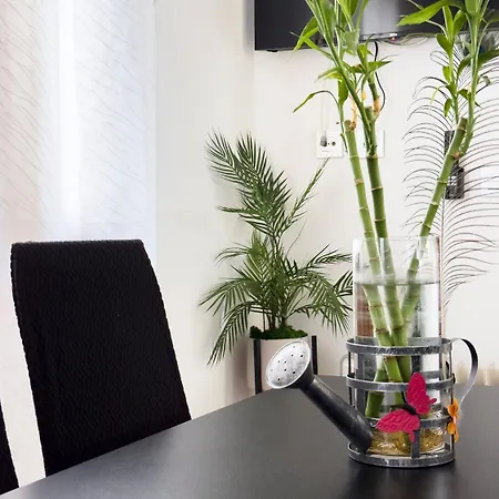Nayara Apartment *
